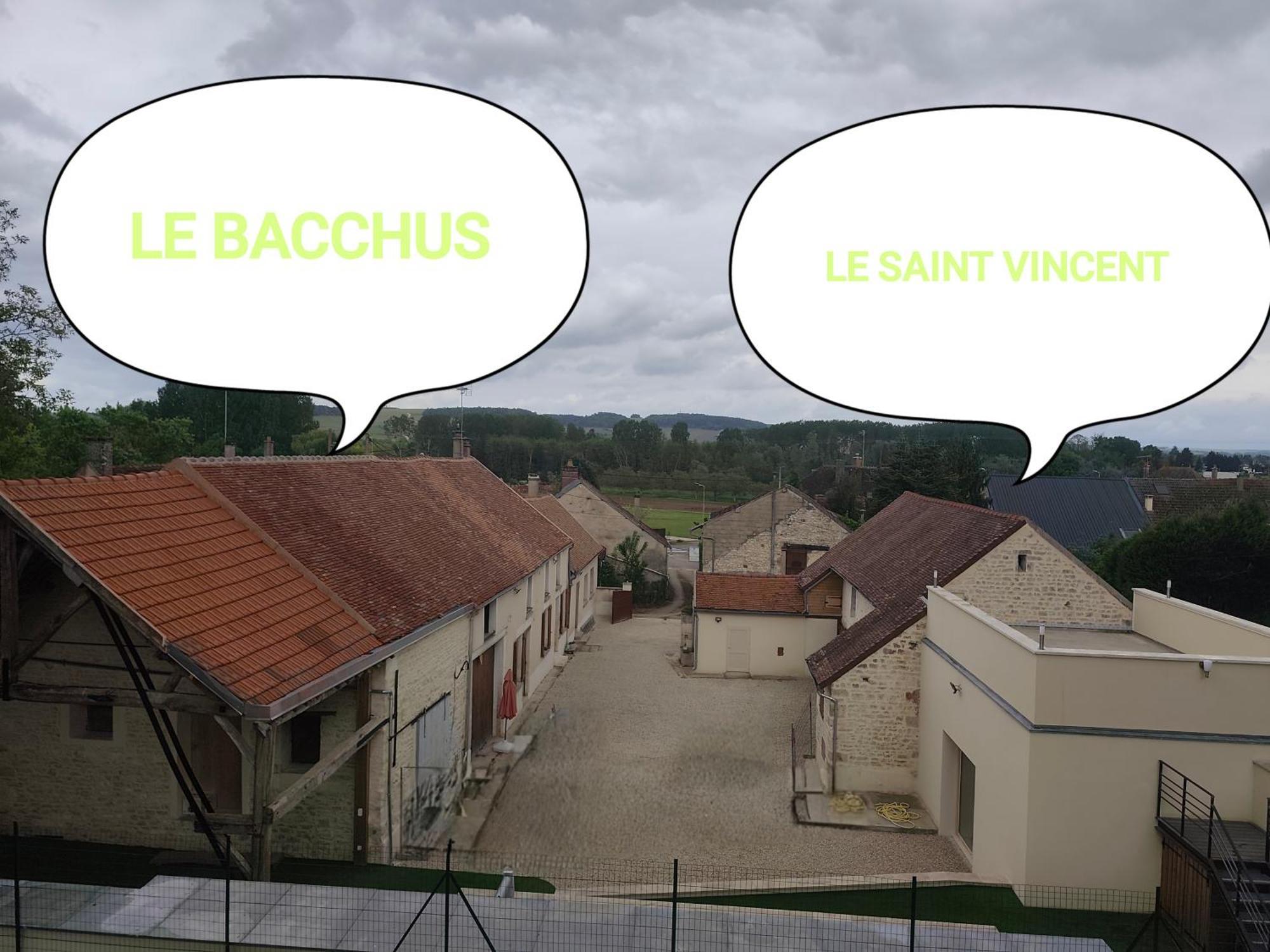 Le Bacchus Villa Chablis Buitenkant foto